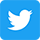 Twitter_20x20