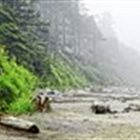 Pacific Northwest Tessitura Community