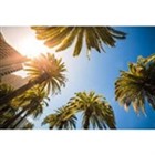 Orange County Tessitura Community