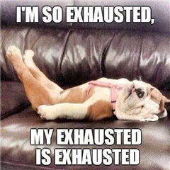 A bulldog lying on a couch with his legs propped up says "I'm so exhausted, my exhausted is exhausted."